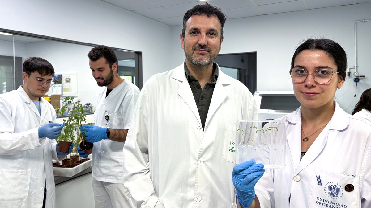 Proyecto NATURSMOKE protección poscosecha sin residuos para un sector agroalimentario sostenible.jpg